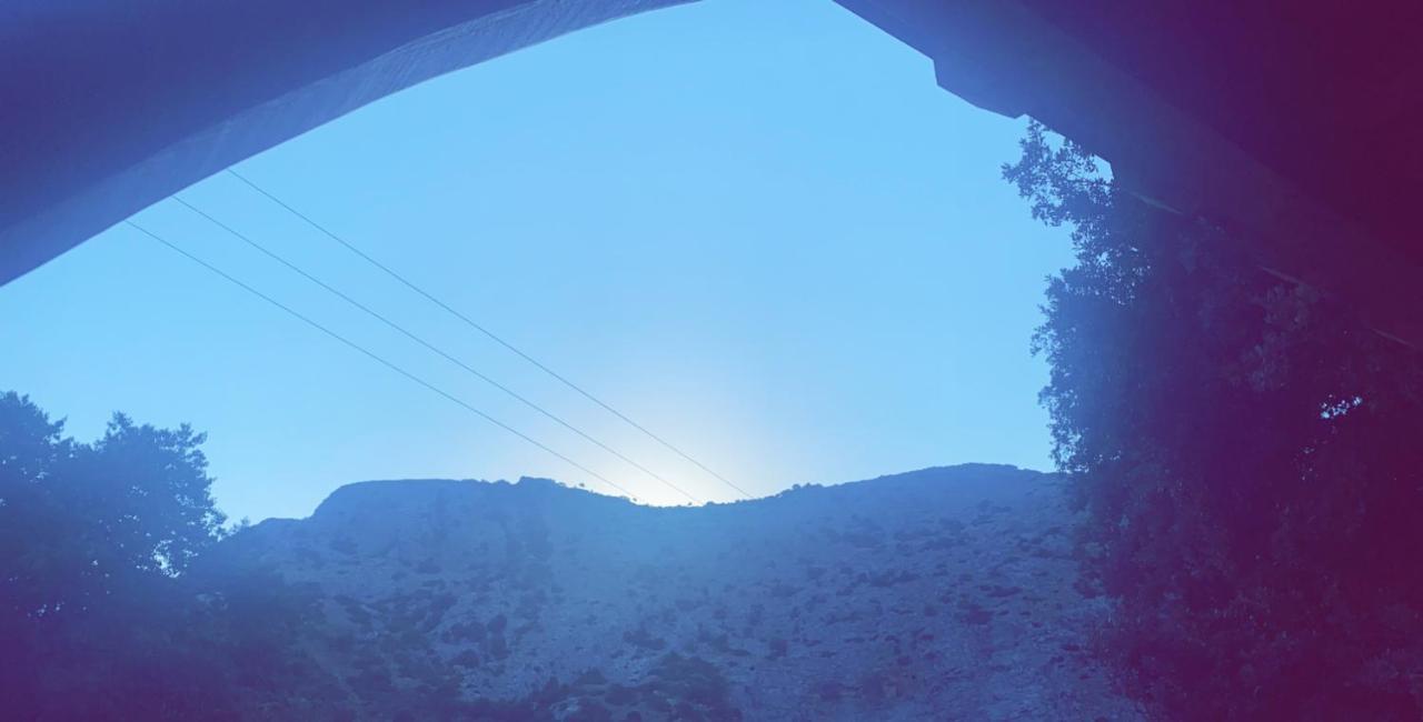 La Bergerie Du Chene Vendégház Omessa Kültér fotó