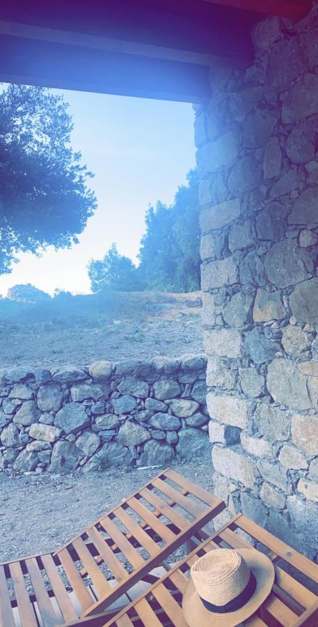 La Bergerie Du Chene Vendégház Omessa Kültér fotó