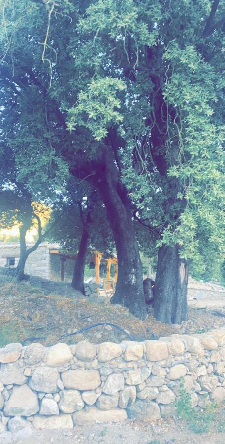 La Bergerie Du Chene Vendégház Omessa Kültér fotó
