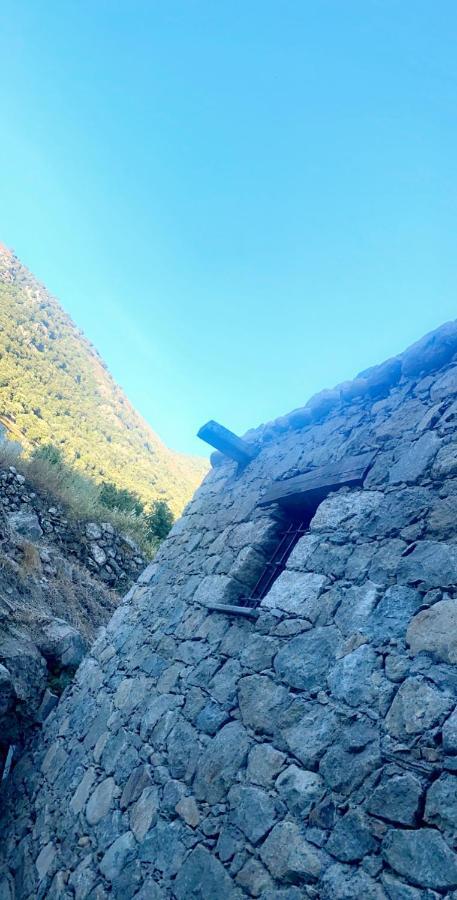 La Bergerie Du Chene Vendégház Omessa Kültér fotó