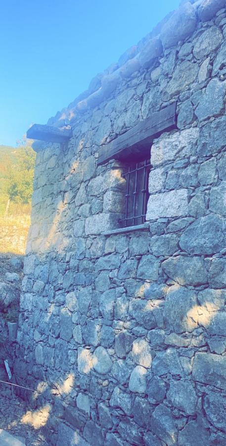 La Bergerie Du Chene Vendégház Omessa Kültér fotó